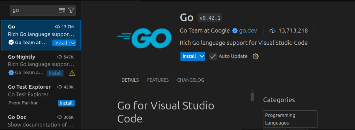 Go Extension in VS Code